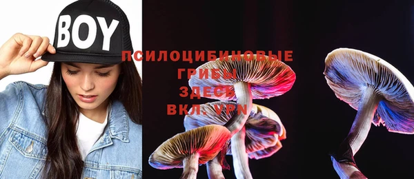 марки nbome Алексеевка